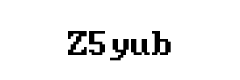 Verification Code Image